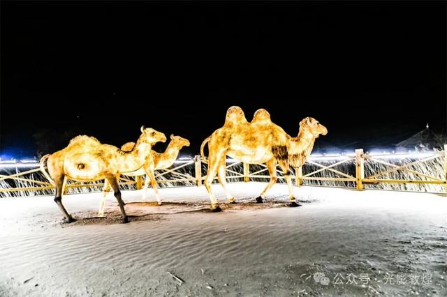 【敦煌第二场雪】月牙泉风雪交加景致极为震撼