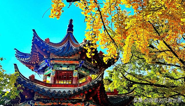 昆明蓝配翠湖银杏黄——藏着昆明最温柔的冬天