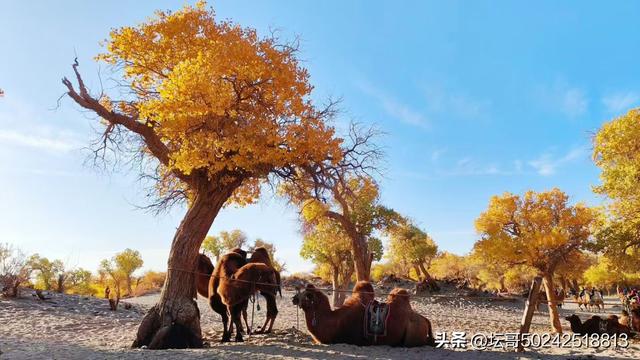 最美的风景在远方，走出去欣赏一下吧兄弟