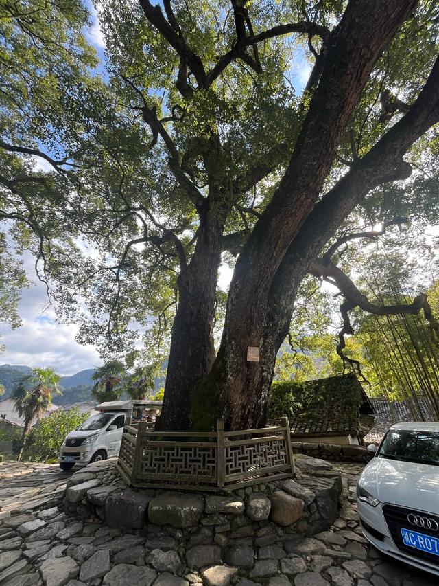 退休夫妻自驾温州永康之苍坡古镇、石桅岩、芙蓉古镇、丽水街