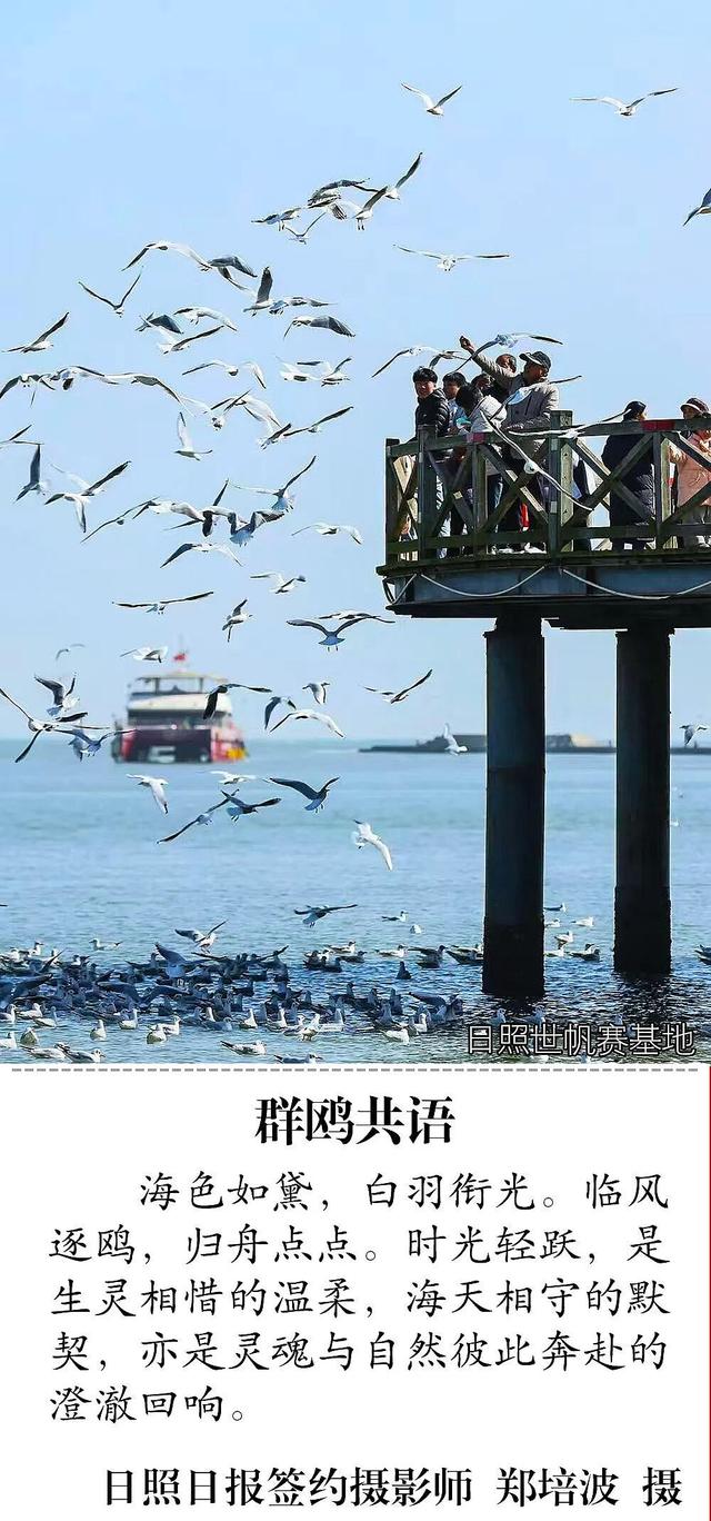 被拍到了！日照这些地方大变样→