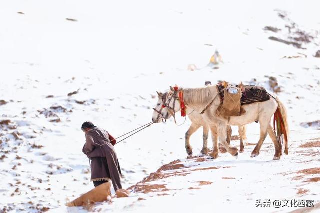 西藏“东大门”！被90%游客错过的宝藏城市，藏着世界级奇观！