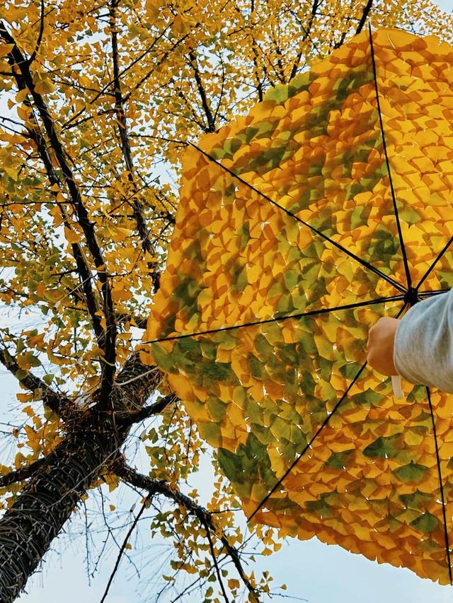 西安周末一日游——初冬9个免费又好玩遛娃、打卡宝藏地~~
