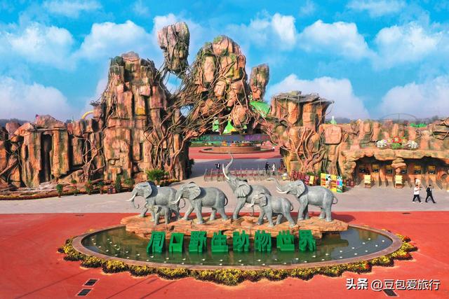 周口四天深度漫游：人文历史与舌尖盛宴的完美环线
