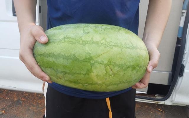 8月12日 星期二 雨转晴：从湖北出发，驾车北上（作者 小学俊男）