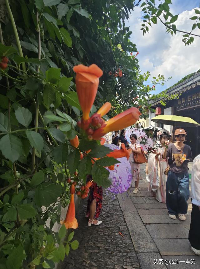 苏州平江路的美，真是风景如画，如诗如画，柔情似水，佳期如梦