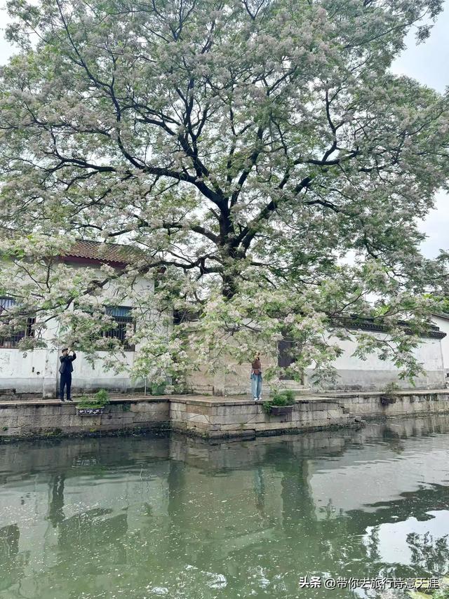 旅居在绍兴，这十景值得一看、题诗赞之