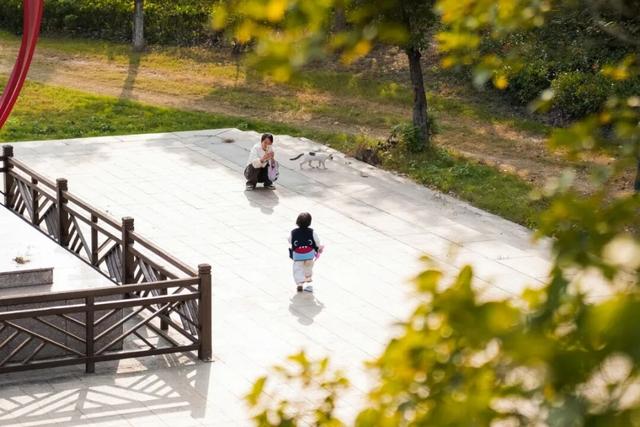 免费！景美！张家港这3处绝美打卡地藏不住了！