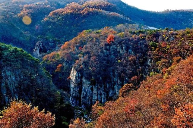 听说，山东的山最近变得「毛茸茸」？