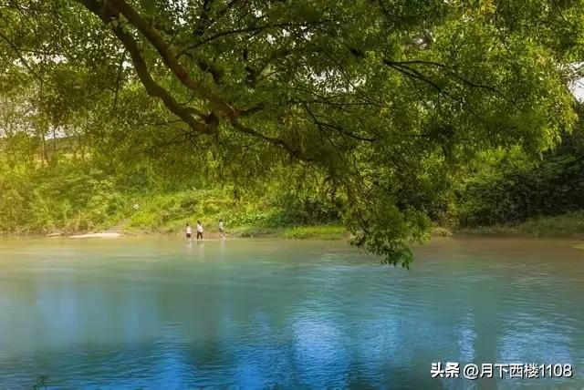 十年磨剑闯雄关，一朝试锋奏凯歌。2025年衡南一中高考再创辉煌