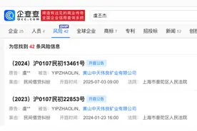 虞书欣父亲因借贷纠纷起诉矿业公司，将于7月开庭图片