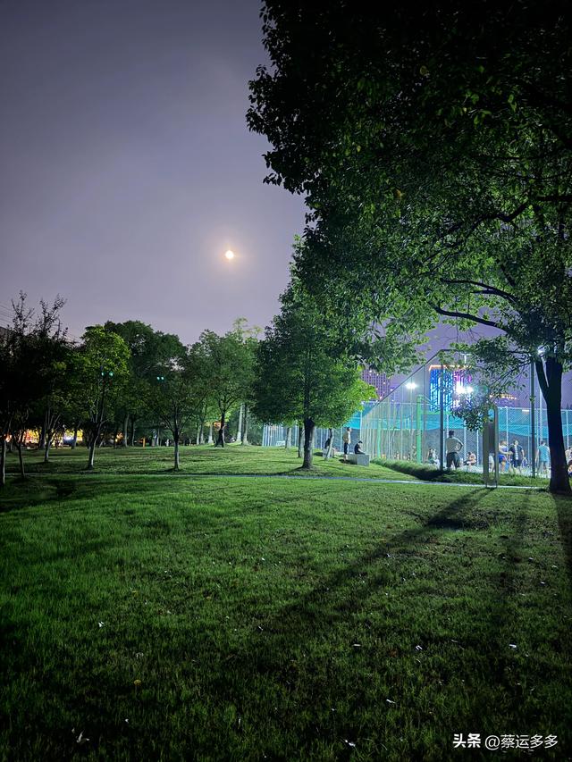 中秋逛豫园，月满人团圆