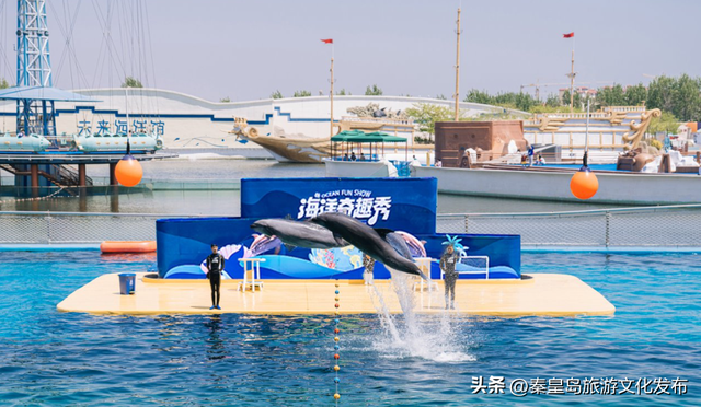 国庆小长假，秦皇岛乐岛海洋王国游玩指南出炉！