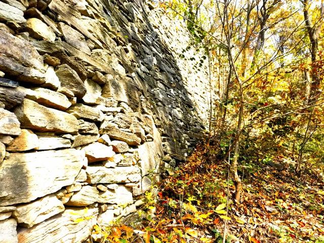 什么叫层林尽染？马谷田镇义和寨东边的堰塘寺告诉您！