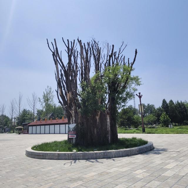 带娃去北极村，第一站从郑州出发到赵州桥打卡，投宿涞源县。