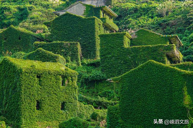 后头湾绿野仙踪9月起，一次购票终身游！