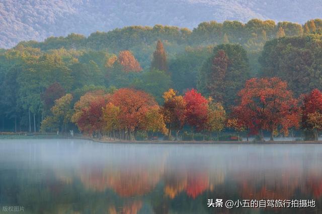 9 地秋日赏秋实测攻略！附最佳时间 + 落地玩法，收藏直接走