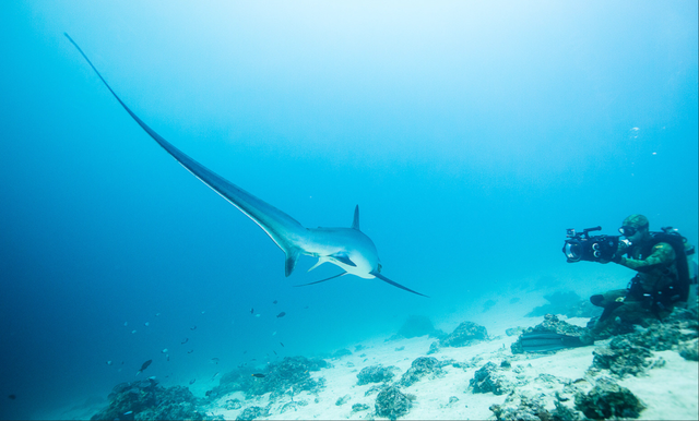 正式官宣！菲律宾对华免签！最全攻略看这里