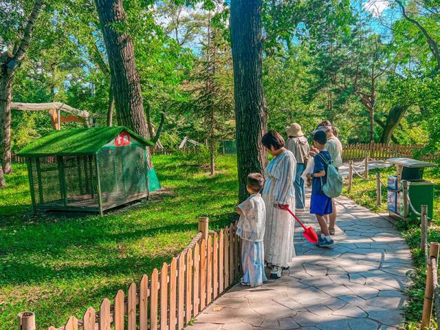 来太阳岛风景区，解锁惬意夏日，开启萌鼠之旅！