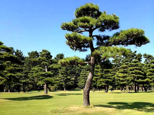 两性关系：男人过65岁、基本上都会有如下现状，具体表现是这样的