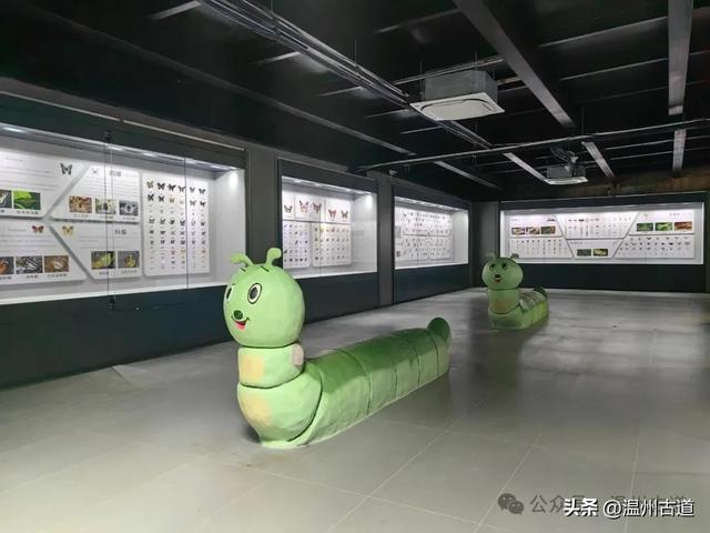 温州这个以畲族始祖命名的4A级景区，秘藏着一座“生物王国”！