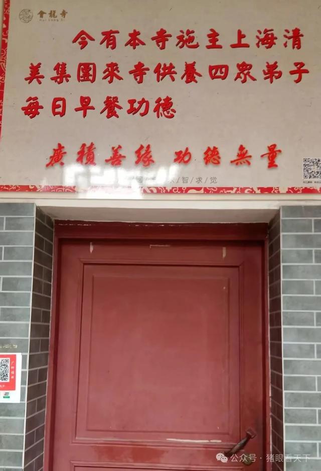 一次浦东乡村的深度二日游