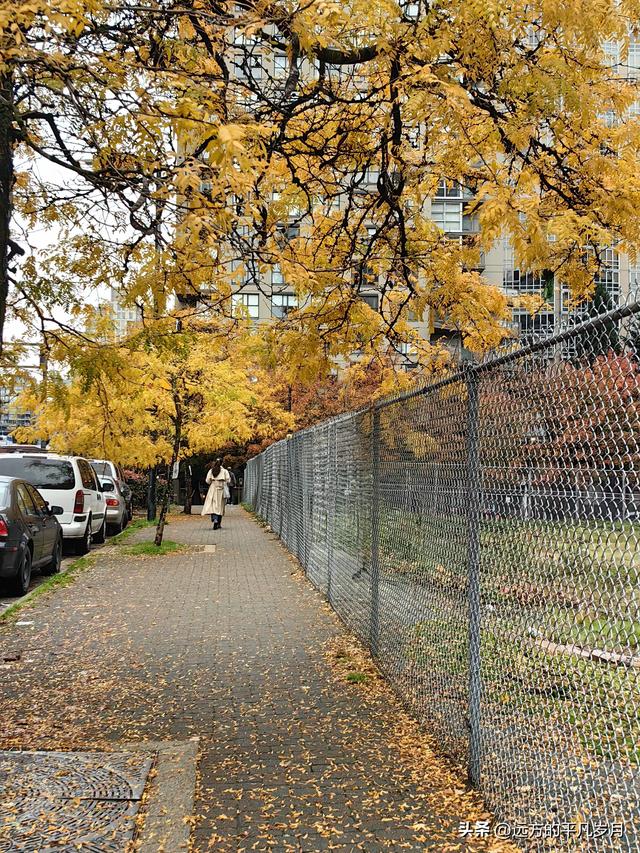 温哥华游记（六）