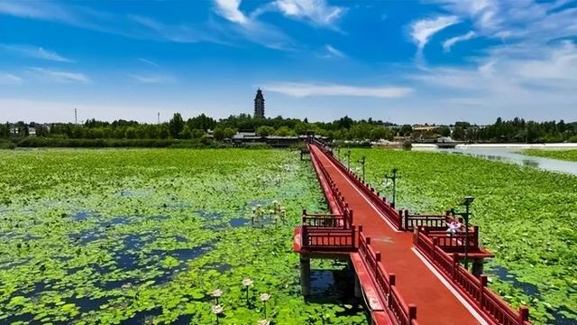 微山湖 · 秋分雅集 | 一半夏色一半秋香，湖山正待君