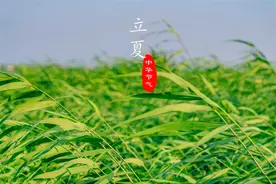 立夏“尝三新”，5月5日立夏，“三新”指的啥？老传统建议多了解图片