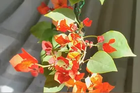 伤害善良的人，是造孽，自损阴德，因果循环，定...图片