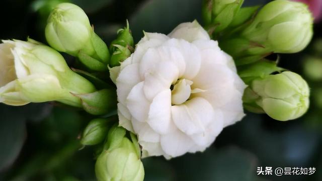 退休了咋不享清福？我带老伴摩旅3年	，发现3个“绊脚石”特真实