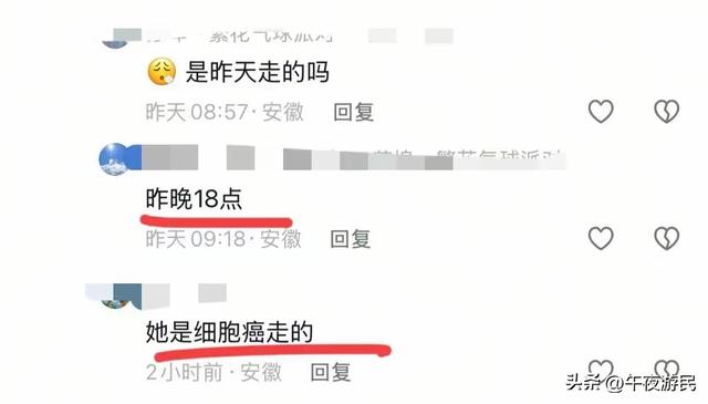 六安烧烤西施大眼妹去世，年仅36岁，长得很漂亮，死因令人惋惜。