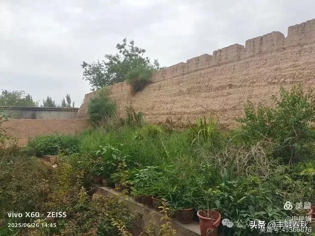 新疆库车:穿越历史的文化之旅|申艳娟