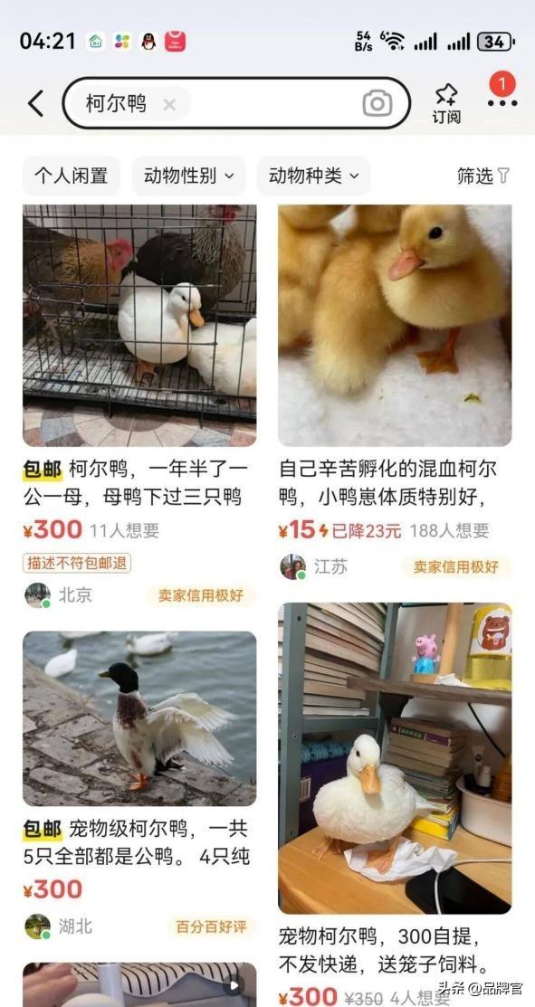“鸭中爱马仕”跌落神坛，从上万一只到300元甩卖无人在意！
