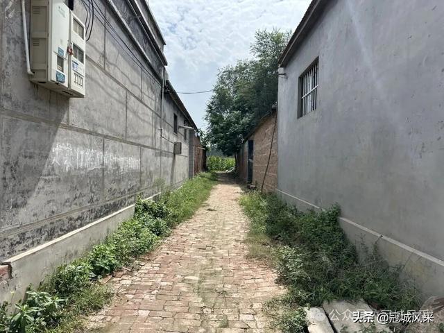 冠县乡韵·定远寨镇陈庄