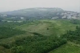 中国考古学界最令人遗憾的事情：我们至今没有发现西周天子的墓葬图片