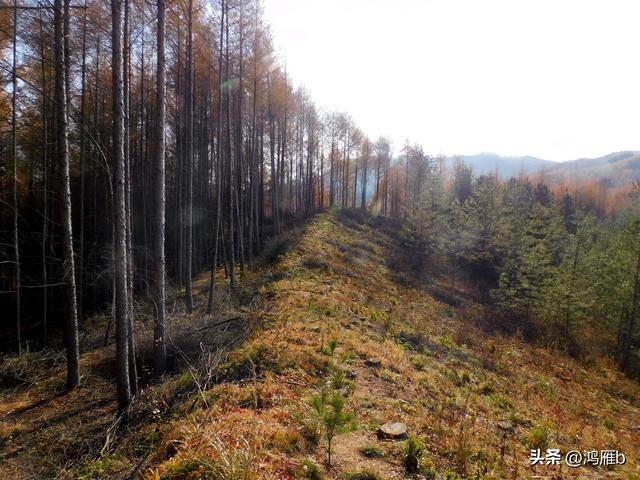 明长城本溪段全程探寻