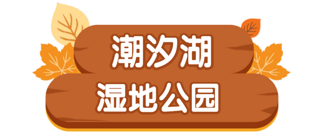 这条「五彩斑斓」的赏秋路线，把秋天都打包给你了！