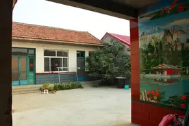老祖宗“阴树不能进家门”，哪些是阴树？看看你家有吗，别犯忌讳图片