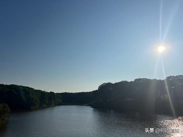 吴城狮子山观鸟