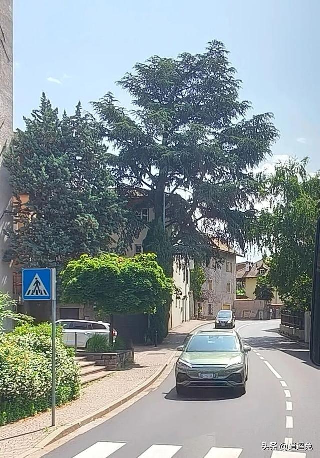 闯进绝美如画“上帝后花园”，却因太激动，在童话小镇闹出乌龙…