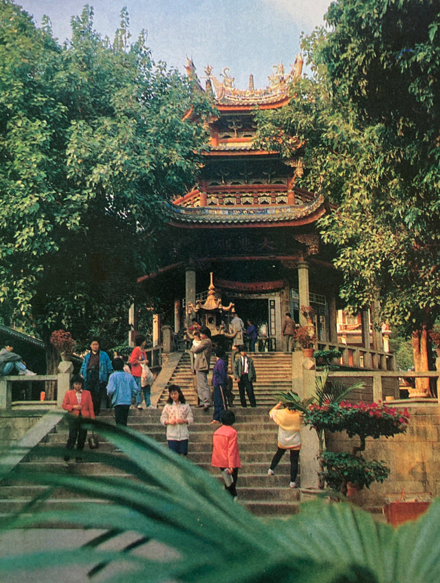 很惊艳：八十年代的厦门感觉整个城市都是公园啊