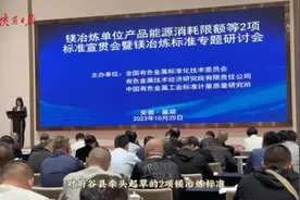 新突破！“世界镁都”府谷参与修编的镁冶炼标准宣贯图片