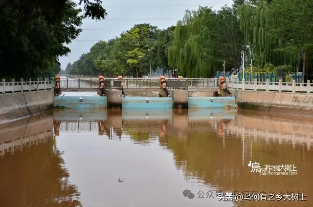 宁夏平原沃野千里:李俊节制闸下这条灌溉渠,已有两千年历史