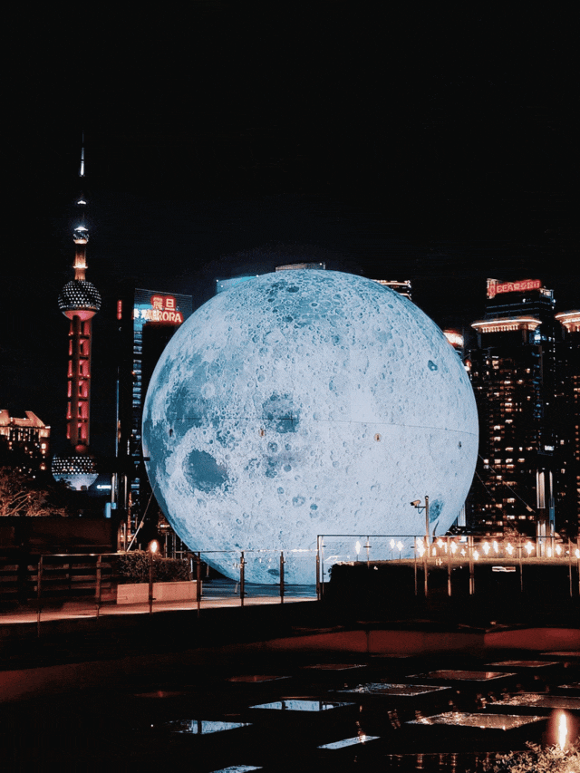 黄浦10个网红打卡机位，包出片的！