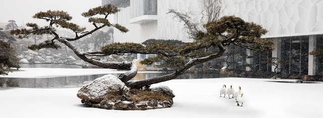 琼花碎玉间，顺义的冬日诗行——