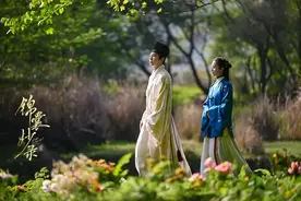 《锦囊妙录》结局：齐梦麟家败遭流放罗疏追随，韩慕之孤独终老图片