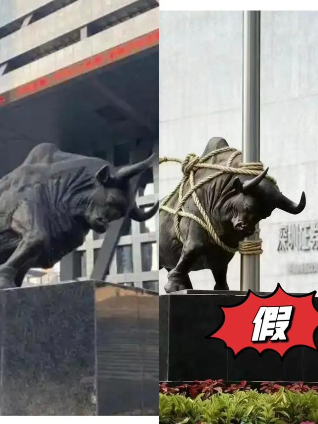 “拴Q”被台风吹走了？最新消息