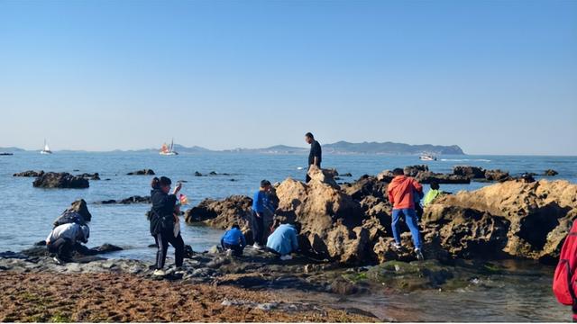 中国气象局力荐！蓬莱阁邀你畅享清凉一夏！