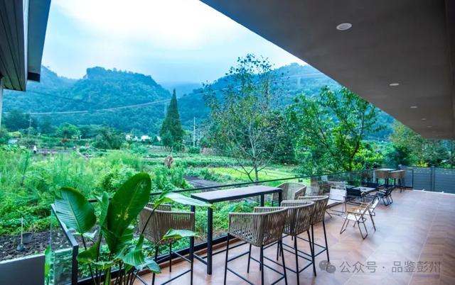 彭州这家窝窝小院，让我把手机内存都拍满了！